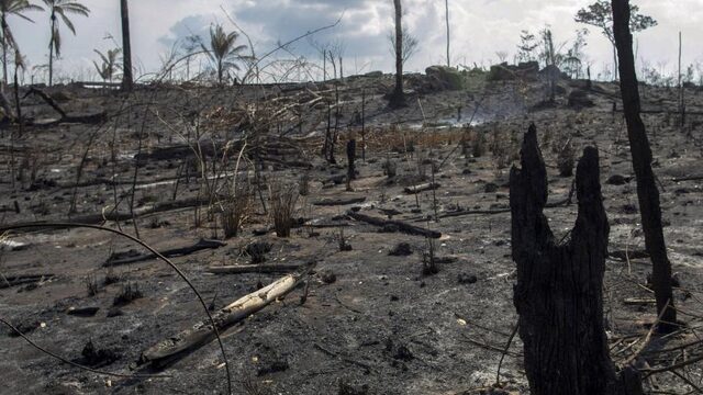 Brazilië weigert G7-geld voor Amazone-branden