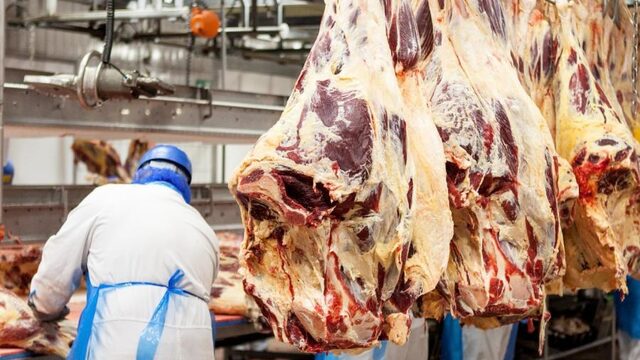Podcast De Dag: Hoe corona ons dwingt anders naar vlees te kijken