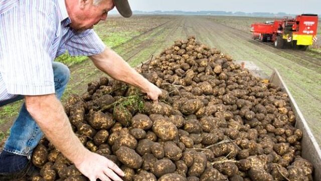 Moet de EU het betwiste bestrijdingsmiddel glyfosaat verbieden?
