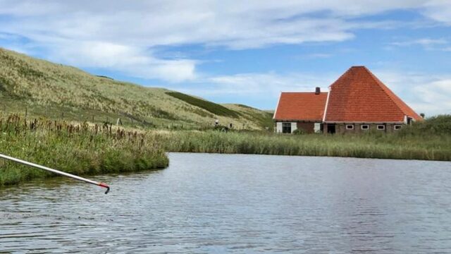 Zoute bodem: probleem voor boeren, kans voor de natuur