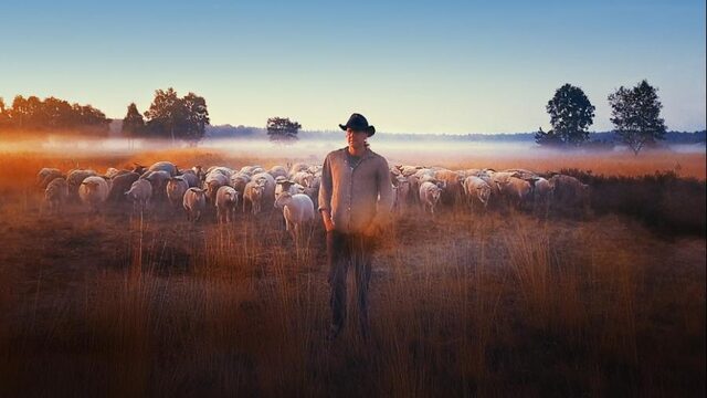 Het leven van een schaapherder is minder romantisch dan je denkt