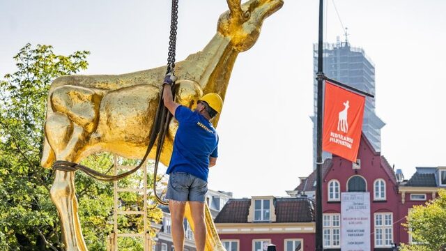 Deze 3 films moet je zien op het Nederlands Film Festival