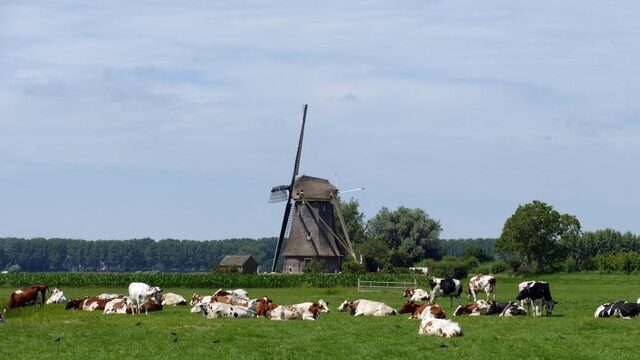 Dit zijn de boeren van de toekomst