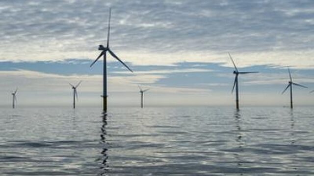 'Staat vecht alles aan in hoger beroep klimaatzaak'