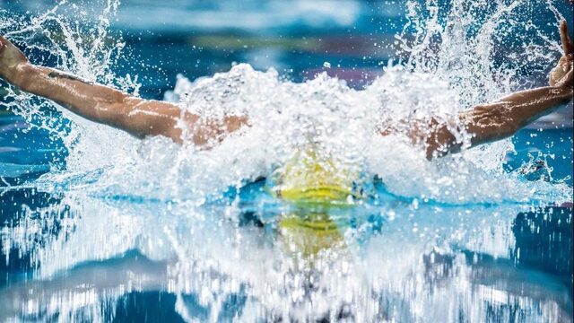 Swedish Superfish Sjöström in Eindhoven