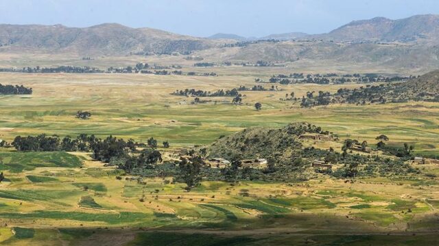 Europa financiert dwangarbeid in Eritrea