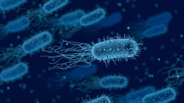 Met deze bacteriën kun je CO2 uit de lucht halen