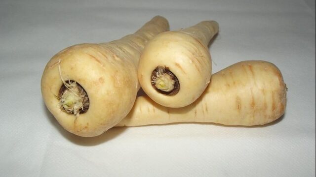 Sorry, paleo-diëters: oermensen aten ook al zetmeel