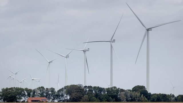 Kunnen we de levens van talloze vogels redden met een beetje lawaai?
