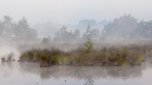 Petitie tegen megastal bij de Kampina