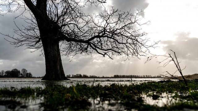 Biesbosch deels afgesloten tijdens pinksterweekend, 'natuur lijdt onder overlast boten'