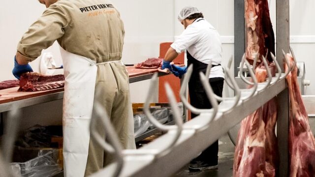 D66 wil opfokverbod: boeren boos
