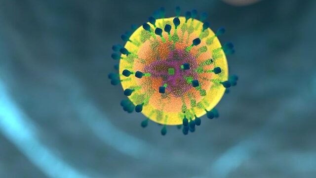 Zo betrapt en bestrijdt jouw afweersysteem het coronavirus
