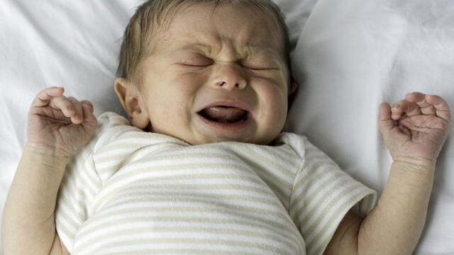 Werd de mens intelligent(er) door hulpeloos kroost?