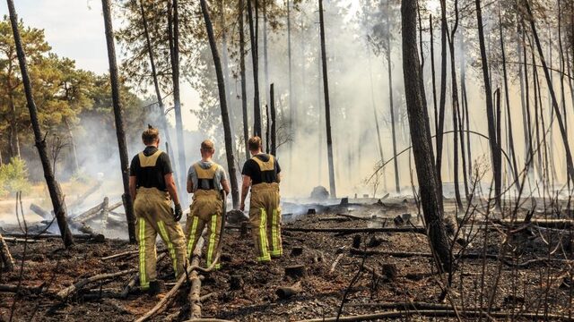 Honderden hectaren bos in lichterlaaie: waarom wordt iemand pyromaan?