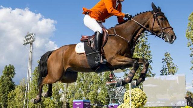 Een verzorger van paarden heet 'groom' en Marc Houtzager heeft de beste ter wereld