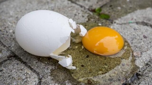 Feit of Fictie: Ei is even duur als zestig jaar geleden