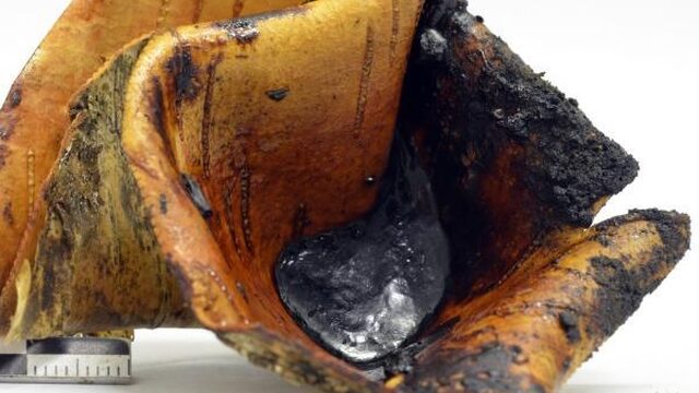 Teer maken volgens Neanderthaler-recept