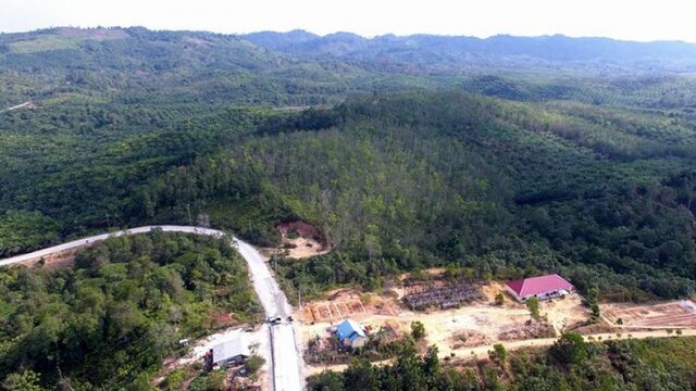 Dit is nu nog een bos. Over 20 jaar ligt hier de nieuwe hoofdstad van Indonesië.