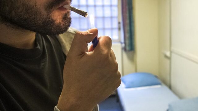 Criminele families als onkruid: 'Je bent het niet met één keer wieden kwijt'
