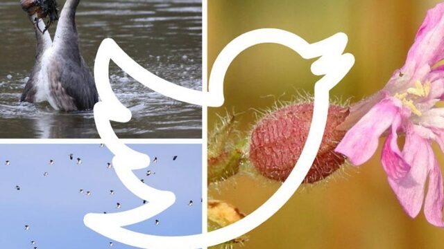 #WAARISDEWINTER, wat merk jij van de zachte winter?