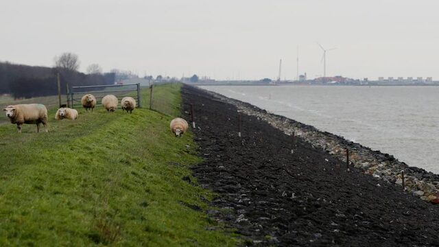 Bewaken slimme sensoren onze kustlijn?