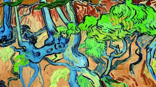 Schilderij Van Gogh hing jarenlang op de kop in Stedelijk Museum