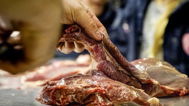 Tijd voor een vleestaks? 'Mijn hersenen reageerden sterker op vleesplaatjes dan op seksplaatsjes'