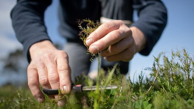 Nieuw landbouwbeleid? 'Ik heb dergelijke plannen al tig keren voorbij zien komen'