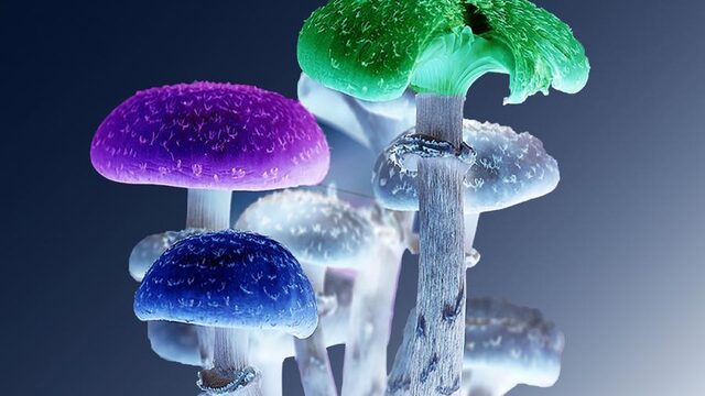 Wordt radio leuker met een beetje drugs?