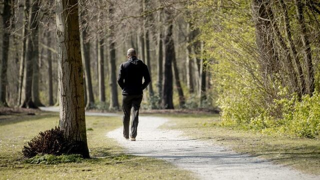 Boswachter: Poepen in de natuur? Graaf een gat!