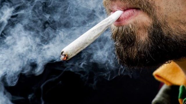 'Bij gedoogbeleid van wietteelt heb ik een 100 procent legale zaak'