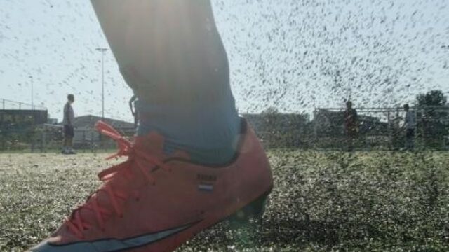 Rubber korrels zorgen ook voor bodemvervuiling