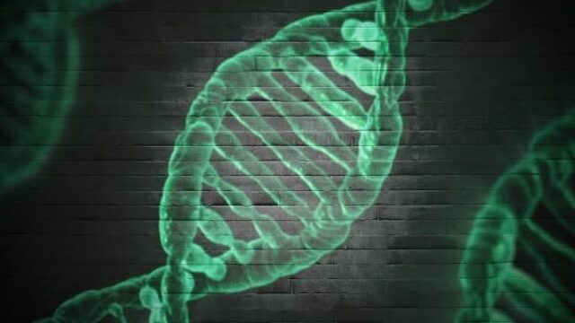Nog veel vraagtekens rond commerciële DNA-tests