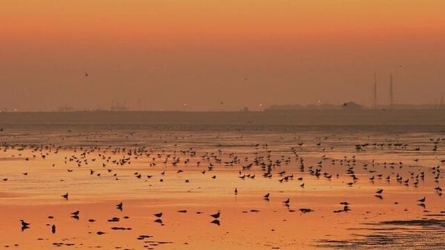 Groen licht voor zoutwinning in Waddenzee