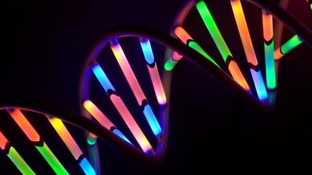 Wie krijgt het CRISPR-patent (en krijgt miljarden euro’s)?