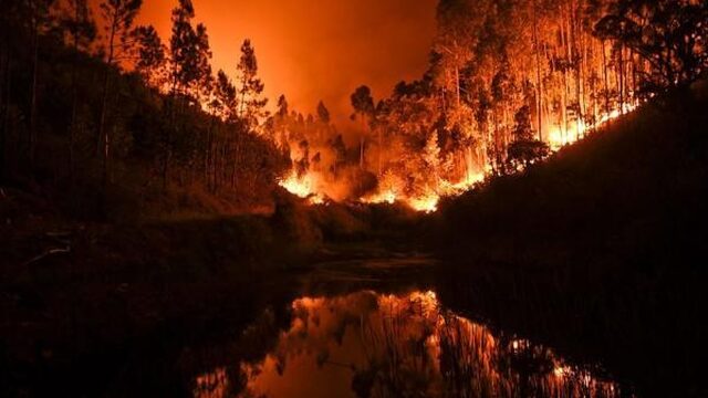 Bosbranden: waarom het elke zomer raak is in Portugal