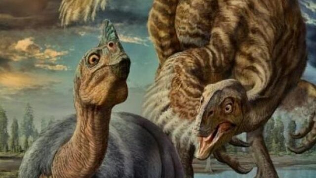 Gigantische dino-eieren zijn van nieuwe soort