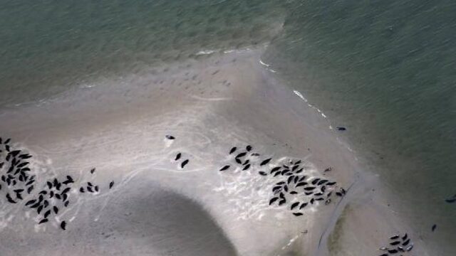 Rapport: Wadden kunnen nog deze eeuw 'verdrinken'