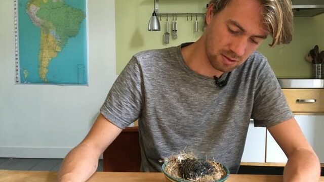 Dilemma: Koekoeksjong wel of niet redden?