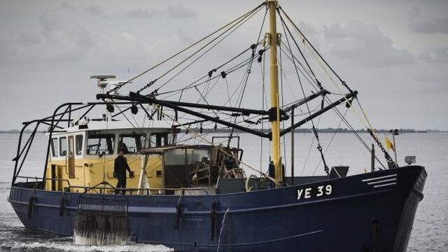 Visquota 2017: minder zeebaars, meer tong