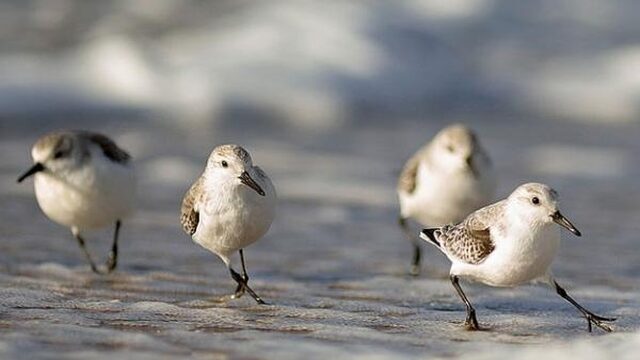 Hoe fotografeer je wind? Tips en inspiratie