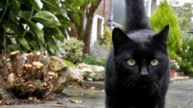 De angst voor Vrijdag de 13e