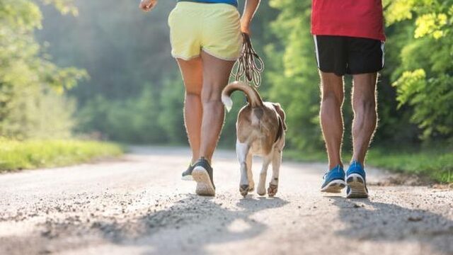Krijg je voor elk uur hardlopen zeven uur levenswinst?