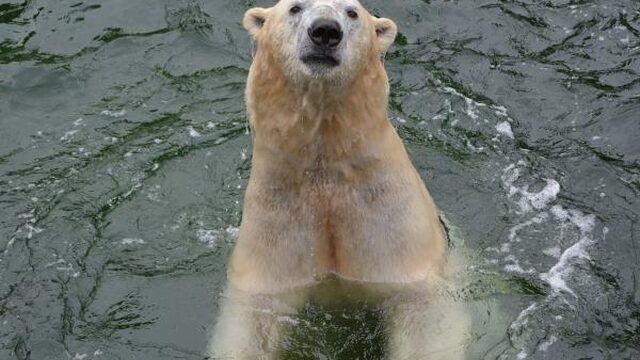 TrendingVandaag: Klimaatverandering verdeelt Twitteraars