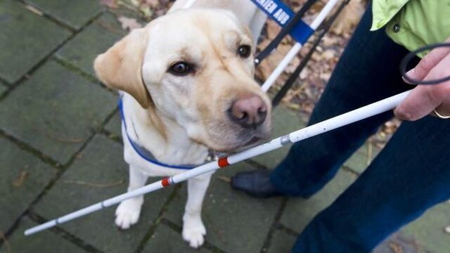 Leon (20) is visueel beperkt en wil graag werken, maar wie helpt hem?