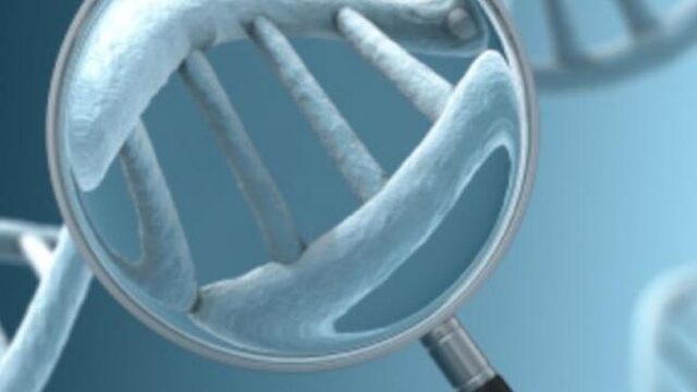 DNA-test ontmaskert zaaddonor