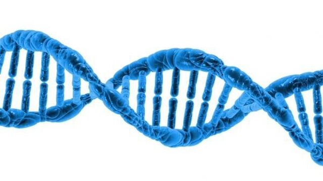 Het menselijk genoom bekend? Dat van de Europeaan, zul je bedoelen