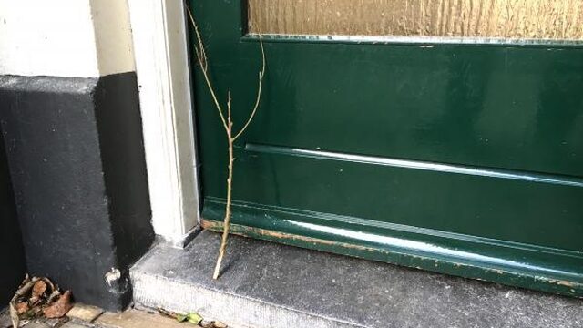 Politiewaarschuwing: Pas op voor takjes bij voordeur!
