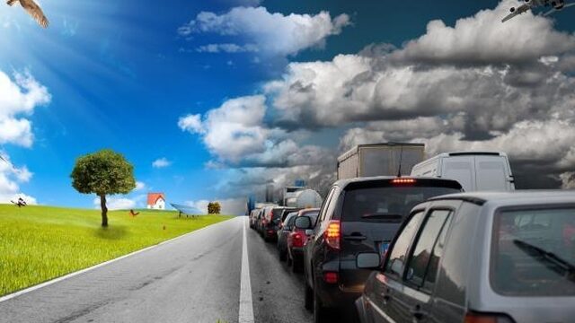 Rijden auto's straks op mierenzuur?